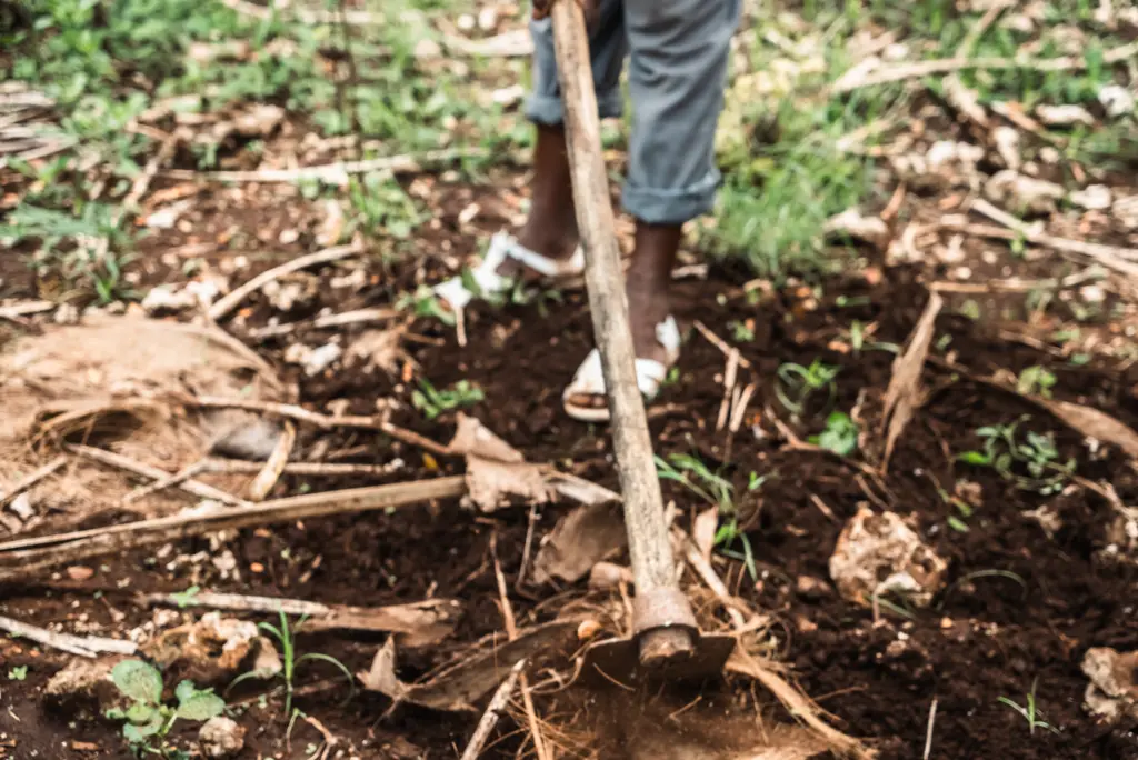 Permaculture in Assalam Community Foundation